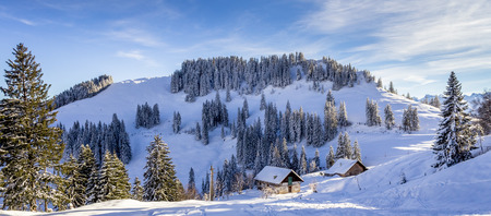 Alpine Landscape