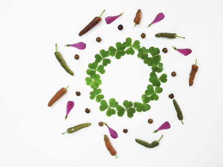 Wreath made of green leaves, pink petals and long pepper or piper longum on white background. top...