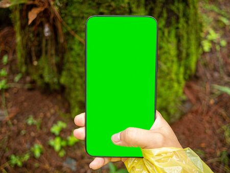 Close-up of hand holding smartphone isolated on nature background with space for your text.の写真素材