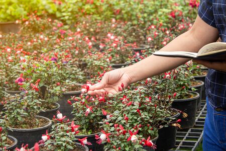 Portrait of Gardener Asian woman at work in greenhouse with notebook examines the growing flowers on the farm and diseases in greenhouse.の写真素材