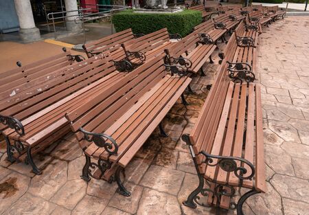 Rows of wooden chairs in the garden.の写真素材