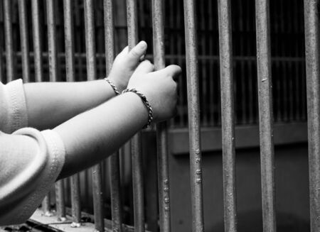 Close up hands of child catch the animal cage in the zoo. Dangerous  in children.の写真素材