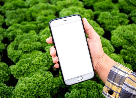 Farmer photographing seedling plants in greenhouse, using mobile phone. Technology with agriculture concept.の写真素材