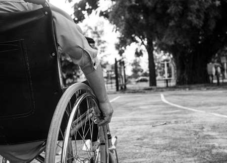 Rear of disabled woman sitting in wheelchair relax in the outdoor public park. Black and white style tone.の写真素材