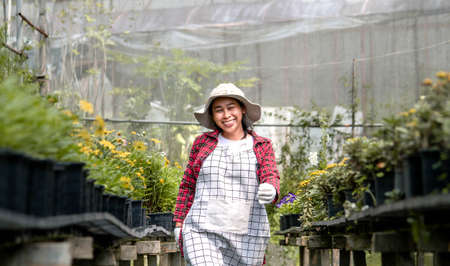 A happy female farmers with a tablet in her hand working in the greenhouse. Modern technology for farmers and floriculture.の写真素材