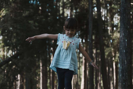 Cute little girl walking on a log in the park. child on the balance beam. Play is learning in childhood.の写真素材