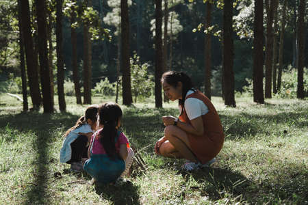 Mother and two daughters collecting firewood and kindling bonfire at camping place in forest. Family and children making campfire on nature woods. Family camping, spending time together on vacation.の写真素材