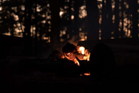 Bonfire with sparks in the forest at the night.の写真素材