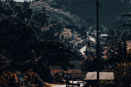 Mae Hong Son, Thailand - 17 December 2021 : Beautiful Village Surrounded by Mountains of Pang Tong Village, Khun Yuan District, Mae Hong Son, Thailand.のeditorial素材