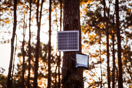 Electric light solar panel plate with LED lamp at the national park, Thailand.の写真素材