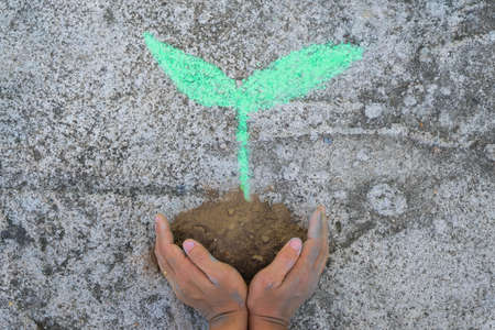 Young woman gesturing holding a drawing of a small tree on the ground in their hands. Concept of world environment day.の写真素材