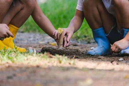 Cute little sisters in boots are using garden tools shovels for planting plants in the garden. A child helps mom in the garden, a little gardener.の写真素材
