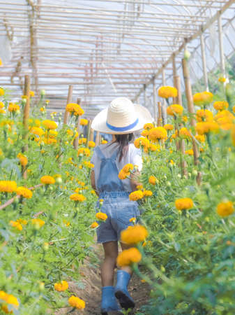 Little girl wearing a hat helps her mother in the marigold garden, a little gardener. Cute girl playing in a beautiful flower garden.の写真素材