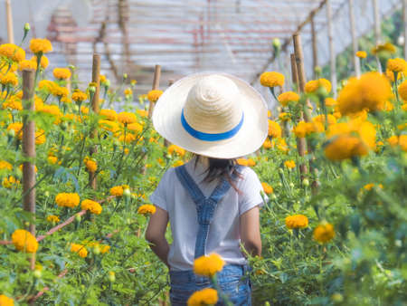 Little girl wearing a hat helps her mother in the marigold garden, a little gardener. Cute girl playing in a beautiful flower garden.の写真素材