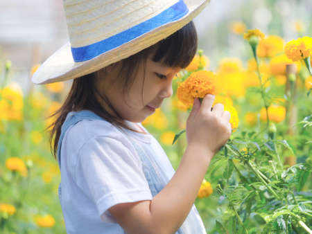 Cute little girl in a hat is smelling flowers in the marigold garden. Cute girl playing in a beautiful flower garden. A little gardener.の写真素材