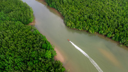 Aerial view of a Thai traditional longtail boat sailing in Phang Nga Bay among the fertile mangrove...