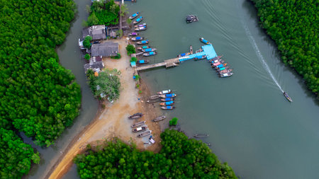 Aerial view of Thai traditional longtail fishing boats at the pier in Phang Nga Bay in the Andaman Sea, Thailand. Top view of many fishing boats floating in the sea among mangrove forest.の写真素材