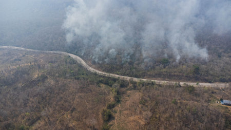 Aerial drone view of a wildfire burning through a forest area, fills the sky with dark smoke in the woods near the edge of the highway. Burning Forest. Air pollution conceptの写真素材