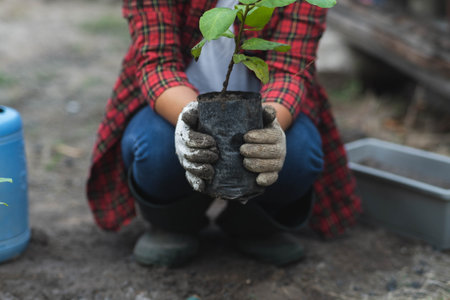 A female gardener's hand holds a bag of seedlings to be planted in the ground. Female hands planting plants in the soilの写真素材