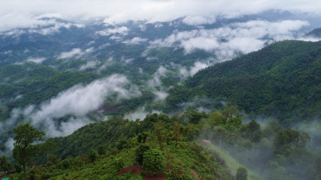 Aerial view of the trees in the valley with fog in the morning. Landscape of misty valley and mountain clouds in thailand. The dawn of the mountains with the sea of mist.の写真素材