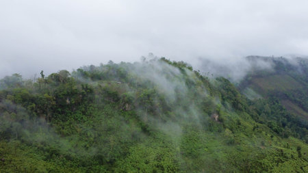 Aerial view of the trees in the valley with fog in the morning. Landscape of misty valley and mountain clouds in thailand. The dawn of the mountains with the sea of mist.の写真素材