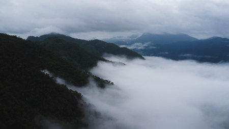 Aerial view of the trees in the valley with fog in the morning. Landscape of misty valley and mountain clouds in thailand. The dawn of the mountains with the sea of mist.の写真素材