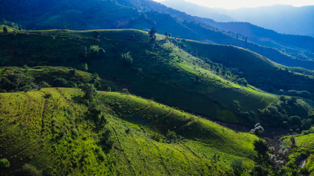 Scenic of idyllic rolling hills landscape with blooming meadows and mountain ranges in the background on a beautiful sunny day with blue sky and clouds in springtime.の写真素材