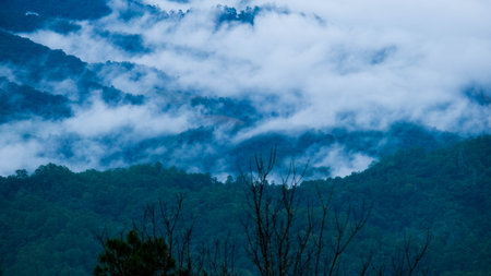 Aerial view over the mountains with sea of fog during morning sunrise in blue sky. Sea of clouds around mountain peaks at sunrise. Unseen travel in Northern Thailand.の写真素材