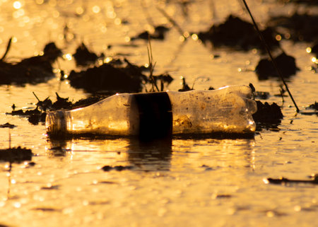 Plastic pollution in rivers. Bottles, plastic bags thrown into the river pollute the water. A group of common green bottle fly are swarming the trash in the river.の写真素材