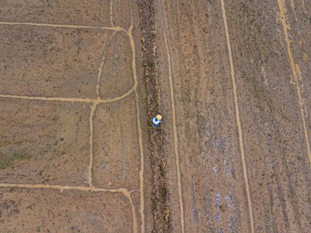 Aerial view of farmer sowing seeds in field on a sunny day.の写真素材