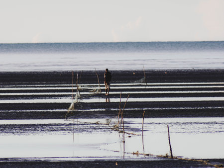 A fisherman walks along a beach in the sea at dawn to find shellfish.の写真素材