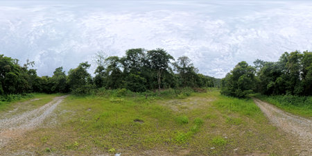 Panoramic view of rural pasture in the rainy season.の写真素材