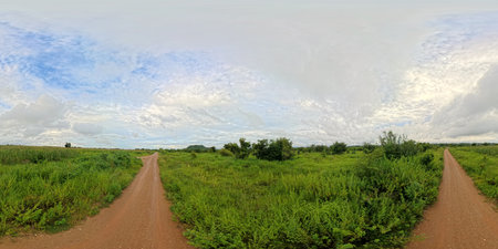 Panoramic view of rural pasture in the rainy season.