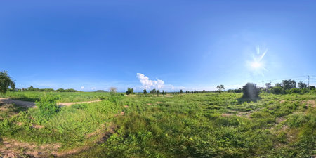 Panoramic view of rural pasture in the rainy season.の写真素材