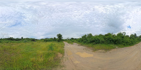Panoramic view of rural pasture in the rainy season.の写真素材