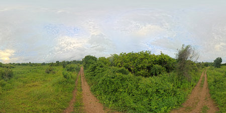 Panoramic view of rural pasture in the rainy season.の写真素材