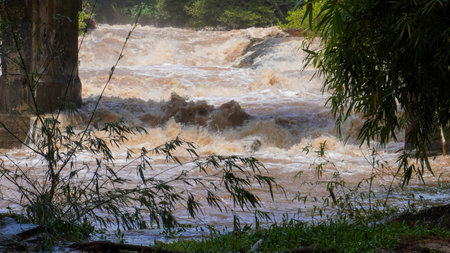 A strong current near a waterfall. Floods flowing in mountain rivers after heavy rains. Flash floods, the effects of global warming and the effects of deforestation.の写真素材