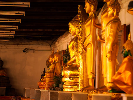 Golden Buddha statues line a row in a Thai temple.の写真素材