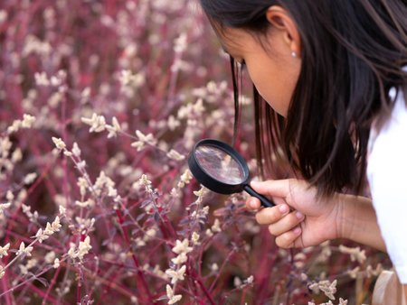 A girl is looking at purple flowers with a magnifying glass.の写真素材
