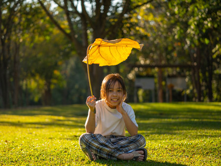 Happy little girl outdoors in nature and having fun picking leaves with beautiful warm sunset in the park.の写真素材