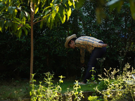 Asian adult woman working outdoors in summer garden.の写真素材