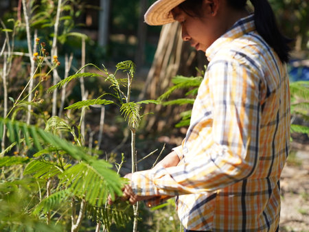 Asian adult woman working outdoors in summer garden.の写真素材