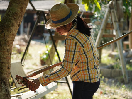 Asian adult woman working outdoors in summer garden.の写真素材