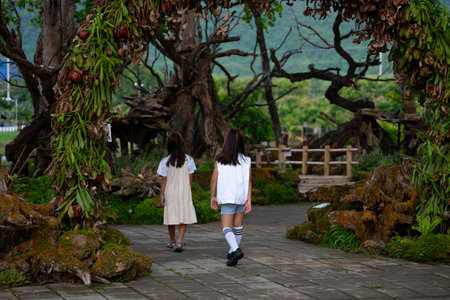 Rear view of two Asian girls having fun walking in a beautiful park.の写真素材