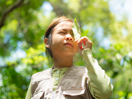 A happy little girl is exploring the forest and looking at the leaves. Adventure tourism and learning concept.の写真素材