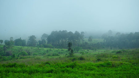 Beautiful scene of mist flowing through the mountainous landscape in Northern Thailand. Beautiful view of mountains and clouds with fog.の写真素材