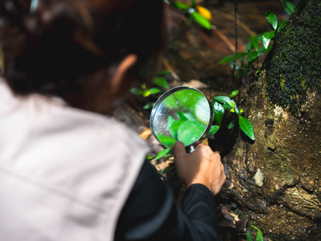 A happy little girl is exploring in the forest and looking for insects with a magnifying glass. Adventure tourism and learning concept.の写真素材