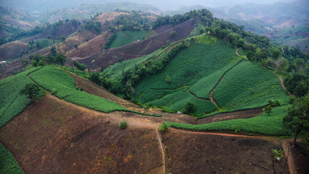 Aerial view of a mountain that has been cut down and destroyed by humans. Bird's-eye view of deforestation in Thailand. Environmental destruction.の写真素材