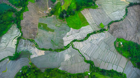 Aerial view of agricultural landscape of Thailand. Rice fields waiting to be cultivated in the countryside. Agriculture in the rainy season.の写真素材