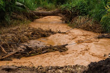 A rural area covered in muddy floodwater with rocks, logs, and tree debris scattered across the land...